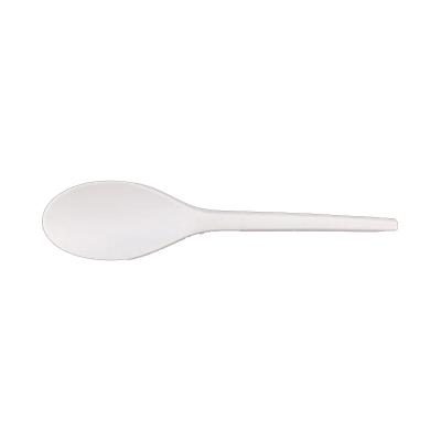 CPLA Light Spoon